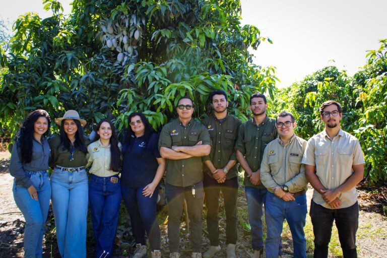 grupo6